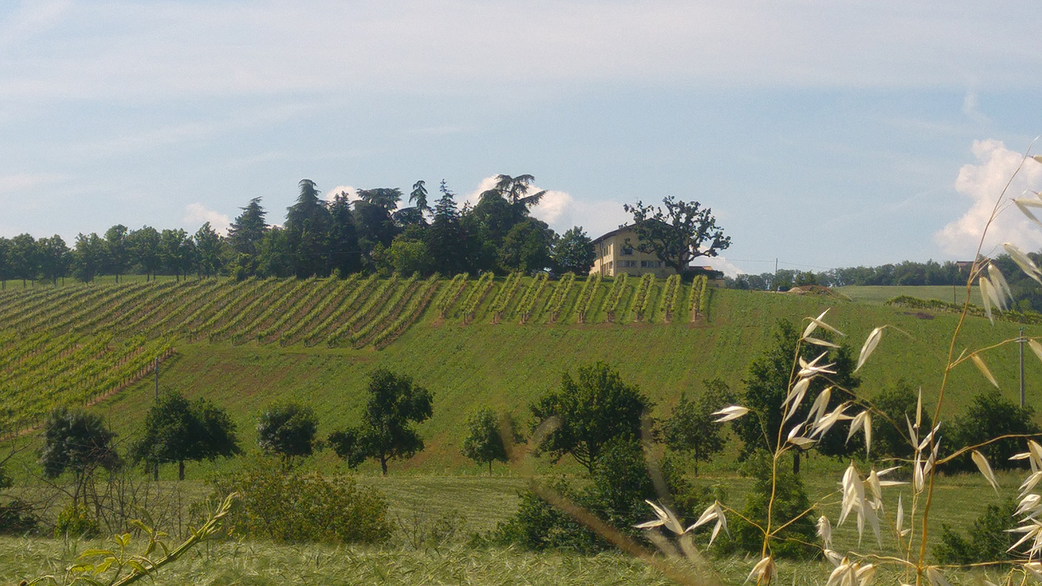 2016 05 18_105507 vedute (1)