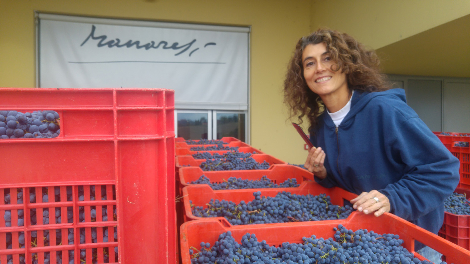 2016 10 17 Vendemmia e cantina_185049 (28)