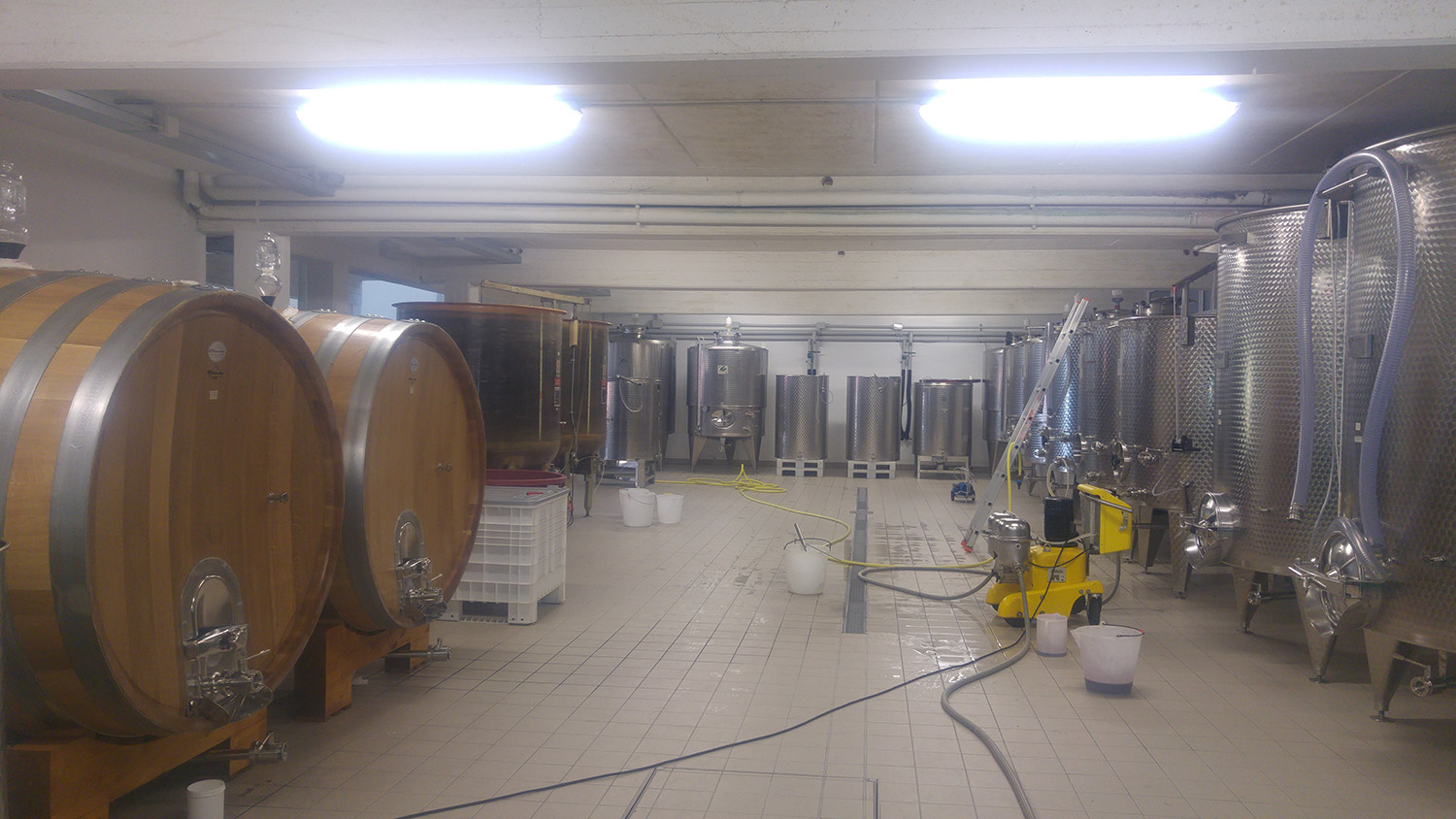 20170302 Cantina travasi rossi e barrique_145708 (6)