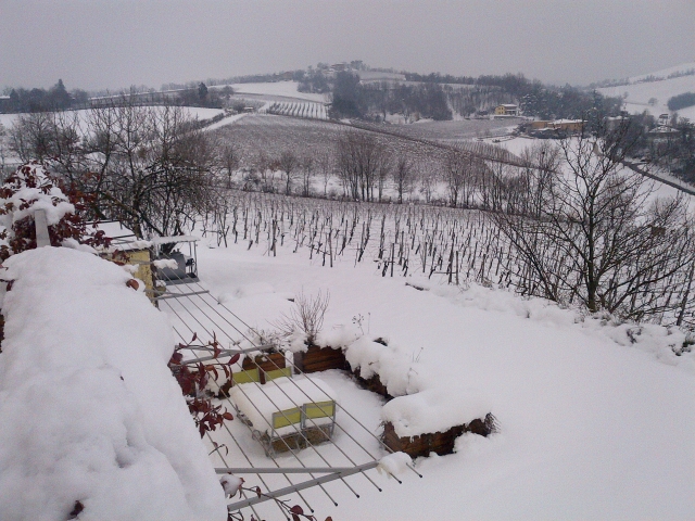 Bella Vista febbraio 2013 Nevica davvero da noi!