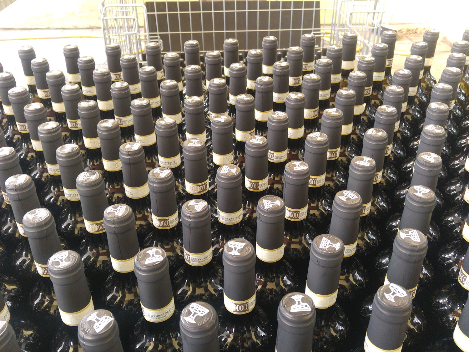 Imbottigliamento 20171214_110803 (1)