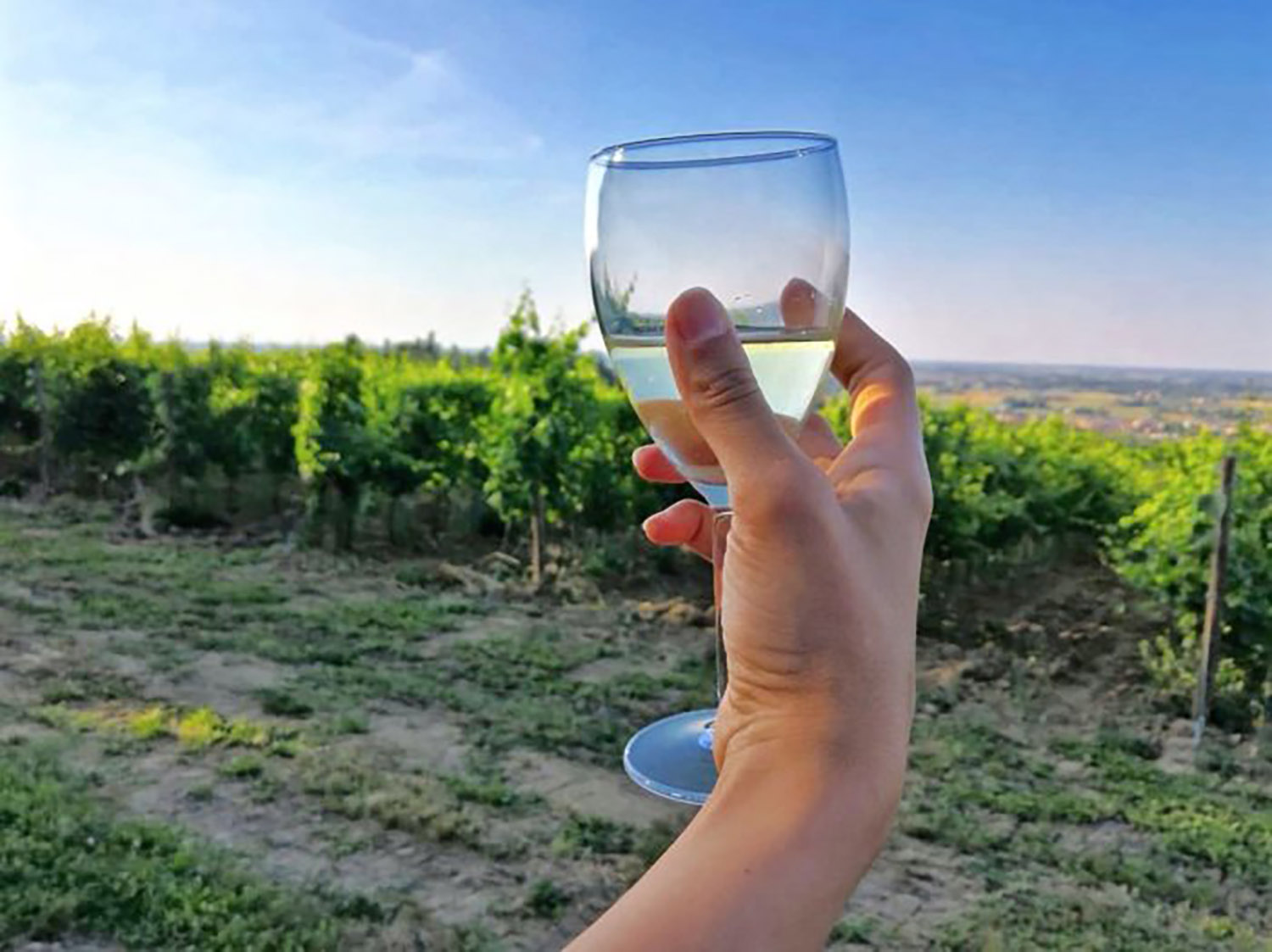 jazz-festival-zola-degustazione-vino-700x524